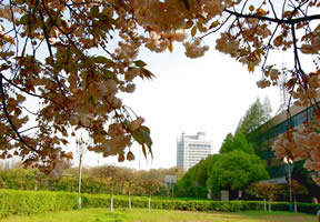 南京邮电大学