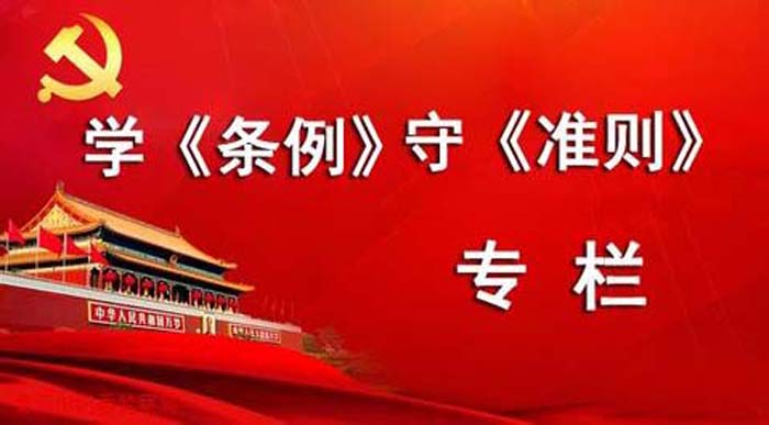 关于党内政治生活的若干准则心得体会