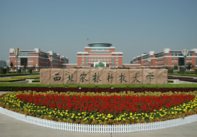 西北农林科技大学