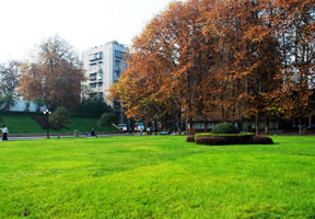 贵阳中医学院