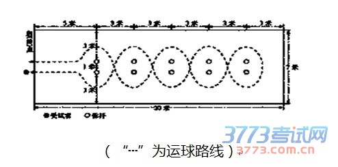 体育考试规则和评分标准