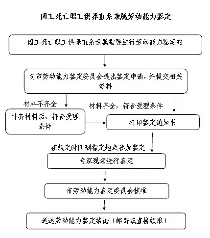 因工死亡职工供养直系亲属劳动能力鉴定指南