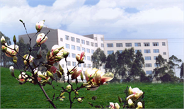 云南师范大学文理学院