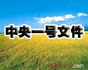 最新或2022（历届）年中央一号文件的内容