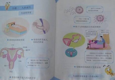 校方回应小学性教育课本争议 将择机推相关课程