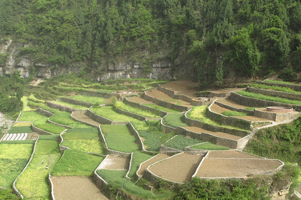 最新或2022（历届）年水土保持与荒漠化防治专业就业前景怎么样？