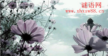 http://www.xhxsw88.cn/sjdq/