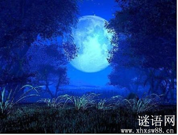 舟夜书所见 查慎行_舟夜书所见古诗