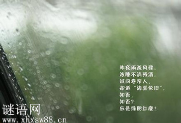 如梦令昨夜雨疏风骤李清照