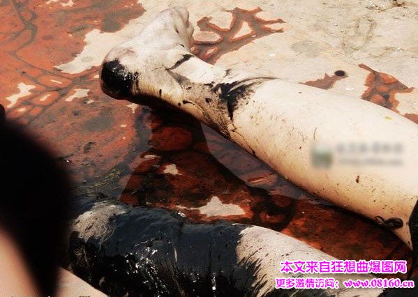 打捞溺水女人现场视频，打捞溺水身亡美女图片