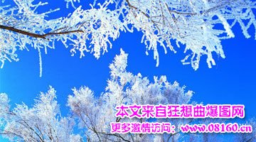 新疆人为什么恐怖袭击，新疆问题深刻解读