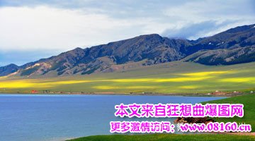 新疆人为什么恐怖袭击，新疆问题深刻解读