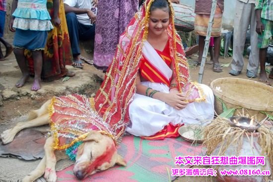 18岁少女与流浪狗结婚，印度女子跟流浪狗结婚