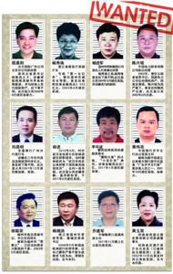 中国红色通缉令名单，100名红色通缉令名单