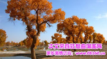 新疆人为什么恐怖袭击，新疆问题深刻解读