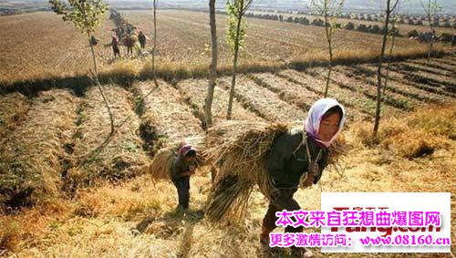 朝鲜罕见的女性生活照，揭秘罕见朝鲜人民生活