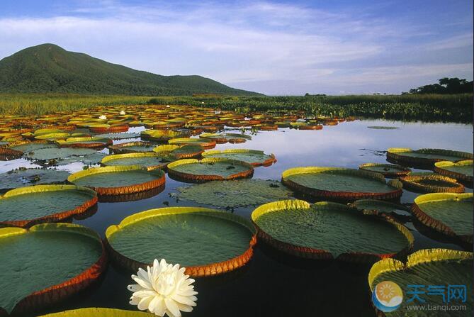  河北春节旅游最佳去处-白洋淀